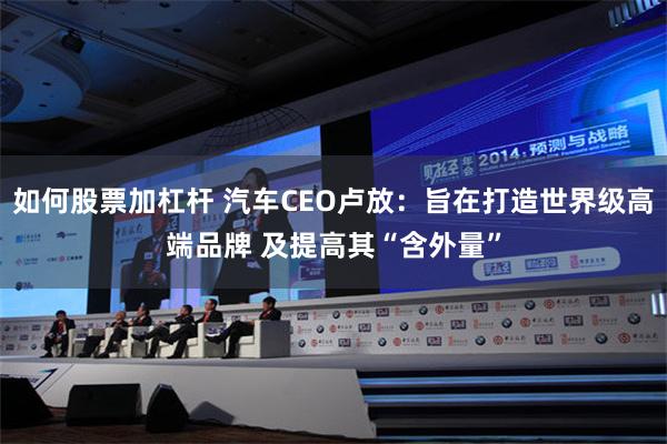 如何股票加杠杆 汽车CEO卢放：旨在打造世界级高端品牌 及提高其“含外量”