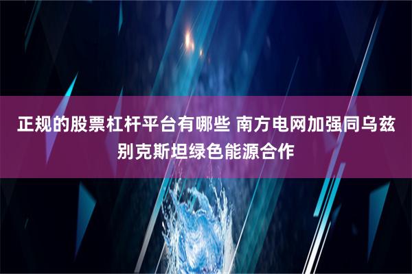 正规的股票杠杆平台有哪些 南方电网加强同乌兹别克斯坦绿色能源合作