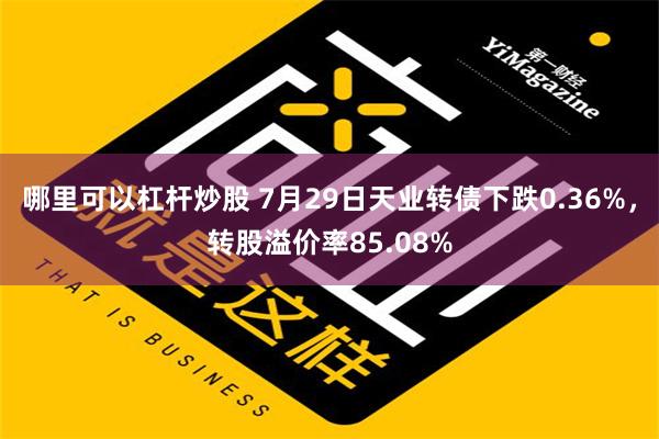 哪里可以杠杆炒股 7月29日天业转债下跌0.36%，转股溢价率85.08%