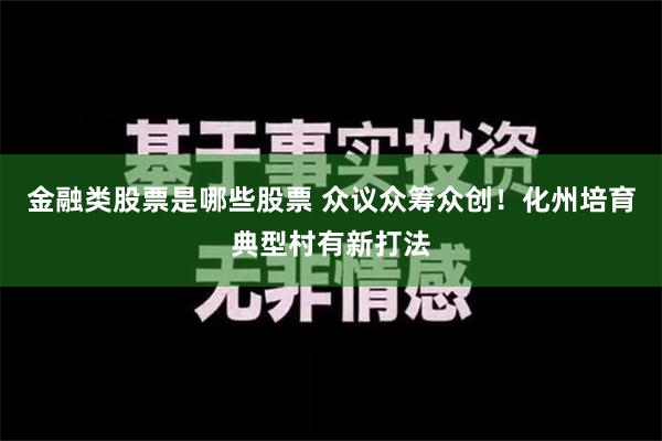 金融类股票是哪些股票 众议众筹众创！化州培育典型村有新打法