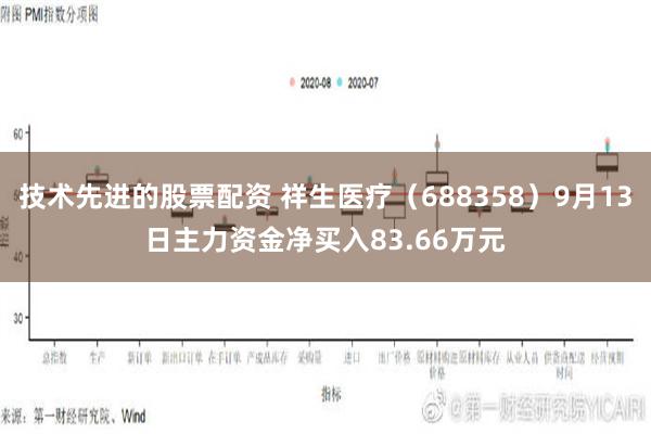 技术先进的股票配资 祥生医疗（688358）9月13日主力资金净买入83.66万元