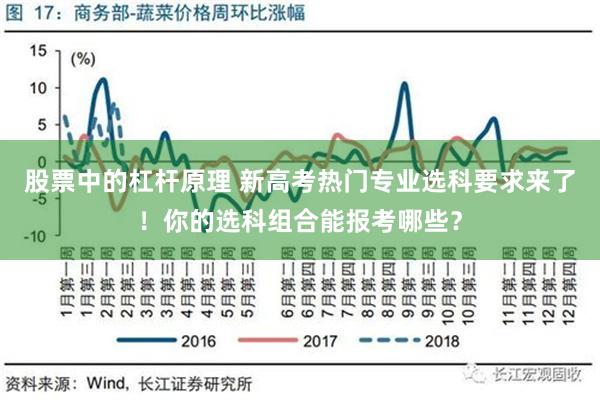 股票中的杠杆原理 新高考热门专业选科要求来了！你的选科组合能报考哪些？