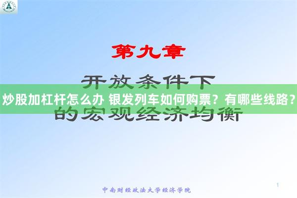 炒股加杠杆怎么办 银发列车如何购票？有哪些线路？