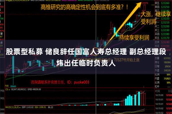 股票型私募 储良辞任国富人寿总经理 副总经理段炜出任临时负责人